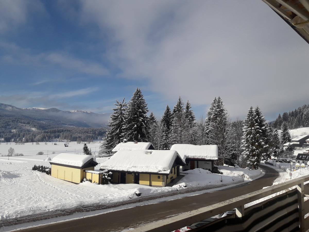 Happy Stay Apartment Bad Mitterndorf Dış mekan fotoğraf